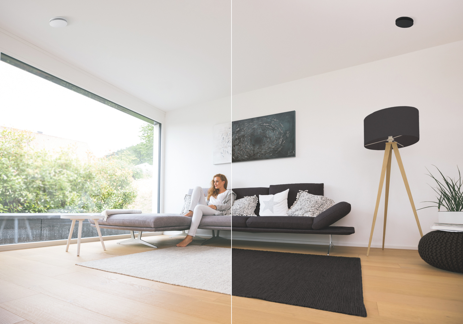 Rendering Comfortable indoor ventilation 
