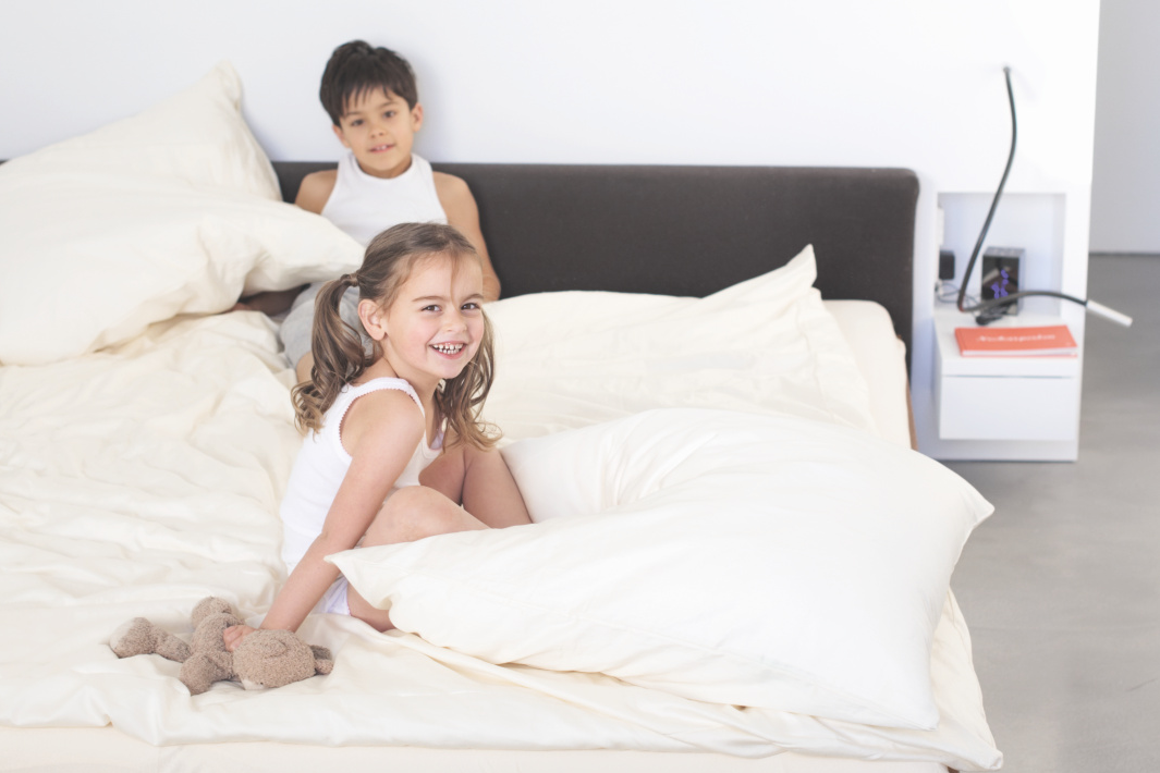 [Translate to Francais:] De mechanische ventilatie reinigen is nodig voor schone lucht.