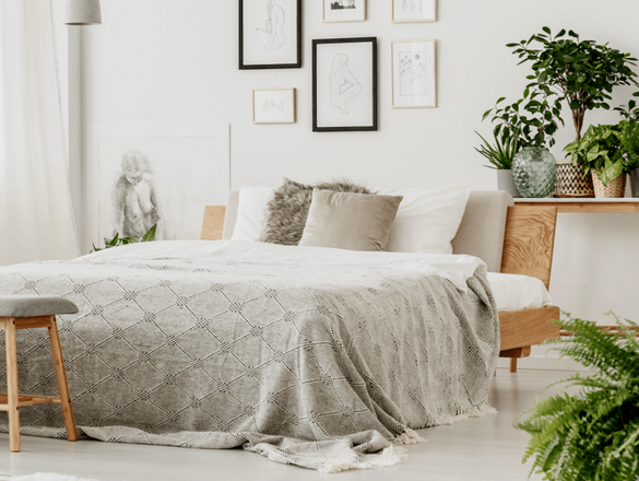 [Translate to Nederlands:] 