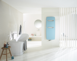  Zehnder Vitalo Spa Decorative radiator Front view