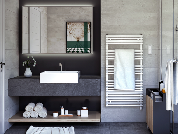 Rendering Zehnder Forma Spa Decorative radiator 